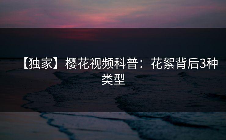 【独家】樱花视频科普:花絮背后3种类型 【独家】樱花视频科普:花絮背后3种类型