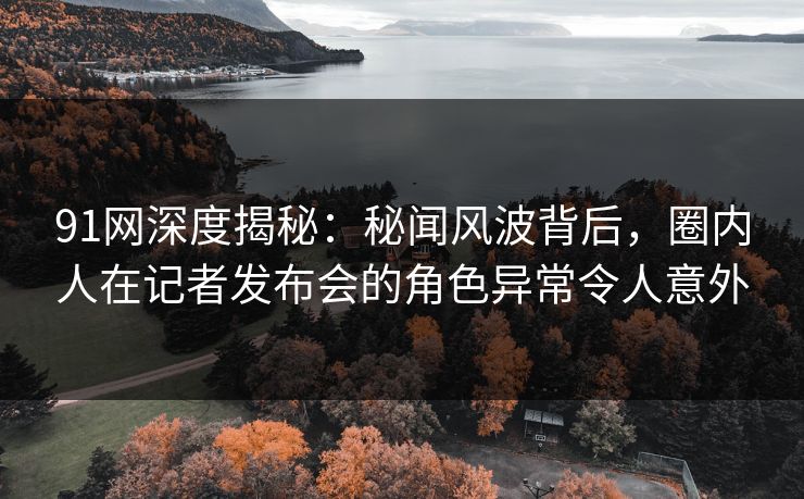 91网深度揭秘：秘闻风波背后，圈内人在记者发布会的角色异常令人意外