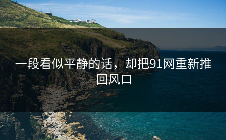 一段看似平静的话，却把91网重新推回风口