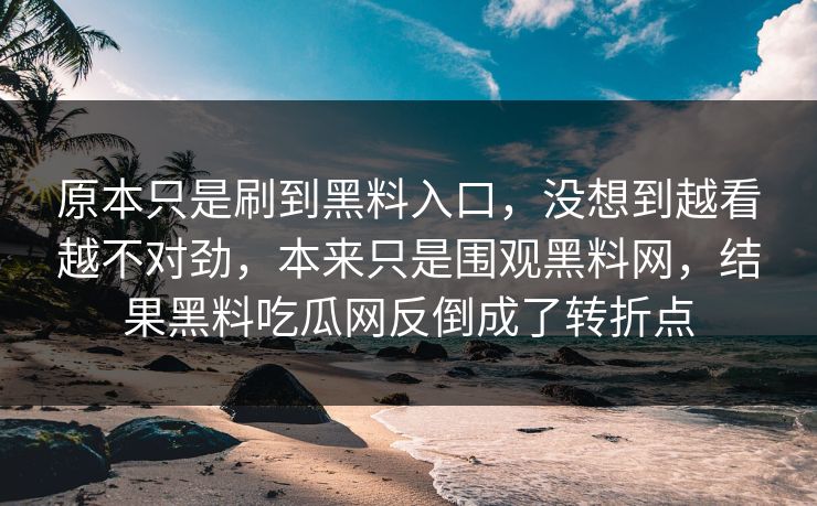 原本只是刷到黑料入口，没想到越看越不对劲，本来只是围观黑料网，结果黑料吃瓜网反倒成了转折点