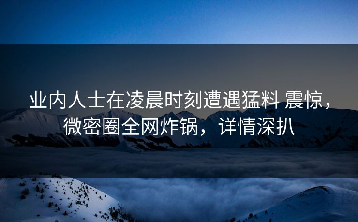 业内人士在凌晨时刻遭遇猛料 震惊,微密圈全网炸锅,详情深扒 业内人士在凌晨时刻遭遇猛料 震惊,微密圈全网炸锅,详情深扒