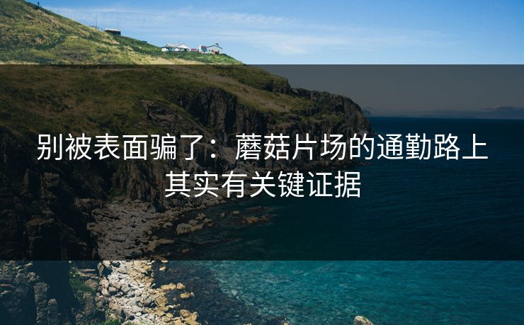 别被表面骗了:蘑菇片场的通勤路上其实有关键证据 别被表面骗了:蘑菇片场的通勤路上其实有关键证据
